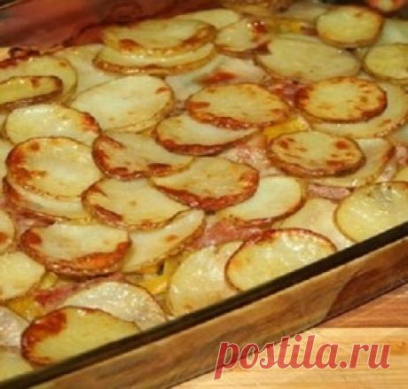 Картофельная запеканка с кабачками и беконом - МирТесен