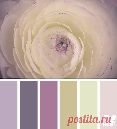 Design Seeds® | find your palette