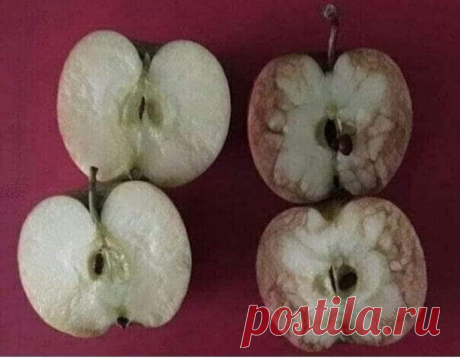 Чем отличаются эти яблоки?