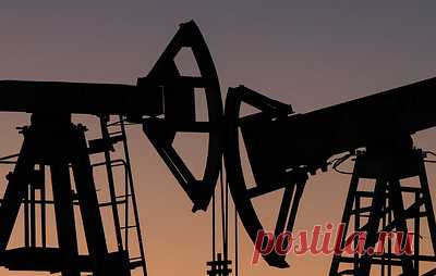 ТАСС: в Индии не давали указаний прекратить закупки нефти у России. Источник агентства добавил, что не было указаний и об импорте нефти из других источников