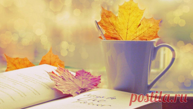 25 выводов о жизни к 35 годам
Если боишься делать, то обязательно делай, именно в этом твоё развитие. Не тратьте время на пустые разговоры, на споры, негативные мысли, бесполезные действия, они просто съедят время. Не делай то, что не хочется твоей душе, пусть все действия согласуются с ней. Когда тебе хочется разозлиться, сказать грубость – сделай наоборот. Учись обращаться с деньгами как […]
Читай пост далее на сайте. Жми ⏫ссылку выше