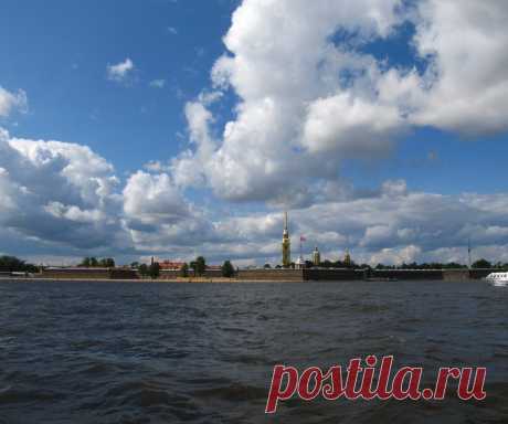 Светлана Болотова