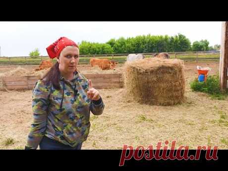 Я СИЛЬНО ОШИБЛАСЬ, ПЕРЕЕХАВ В ДЕРЕВНЮ.........НЕ ДЕЛАЙТЕ ЭТОГО