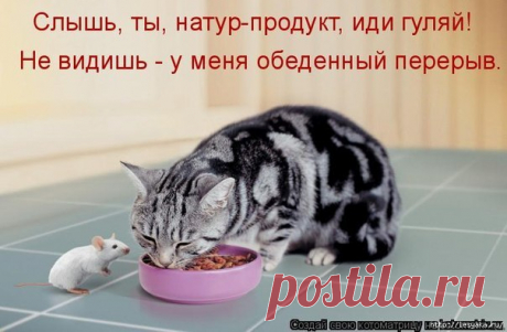Мой Мир@Mail.Ru