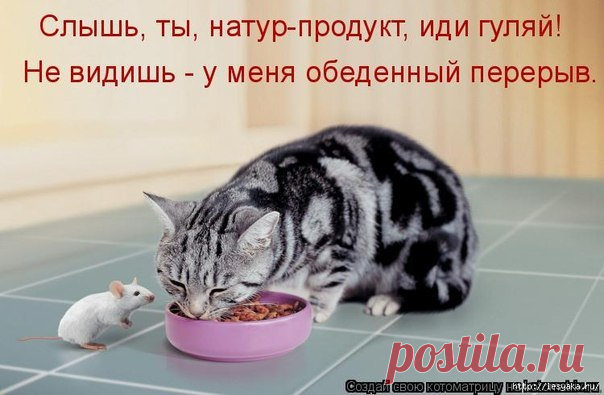 Мой Мир@Mail.Ru