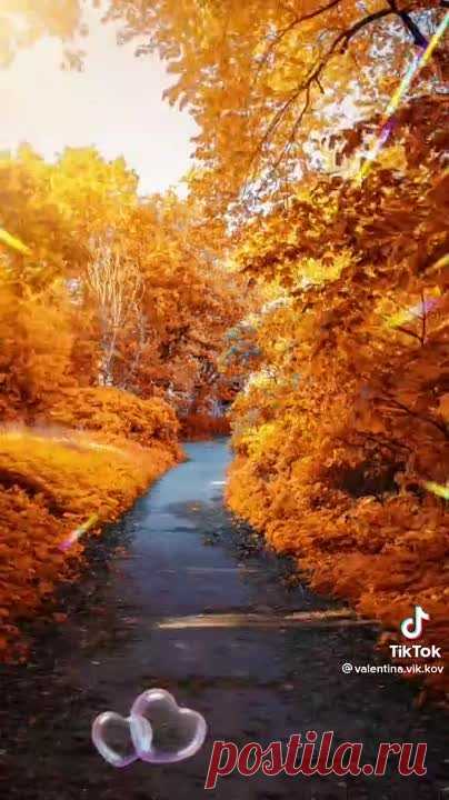 ДОБРЫЙ ВЕЧЕР!