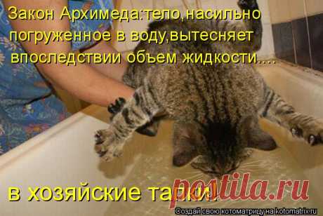 Котоматрица: Закон Архимеда:тело,насильно погруженное в воду,вытесняет впоследствии