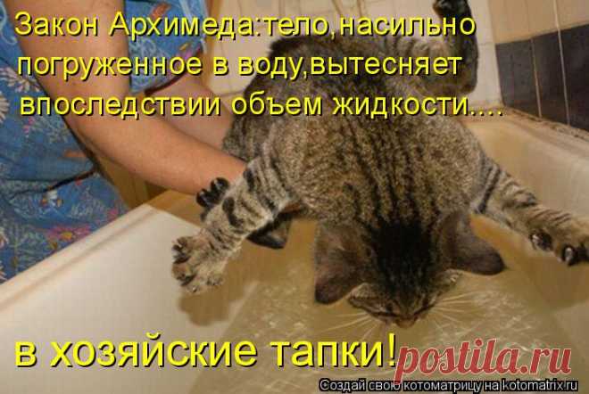 Котоматрица: Закон Архимеда:тело,насильно погруженное в воду,вытесняет впоследствии