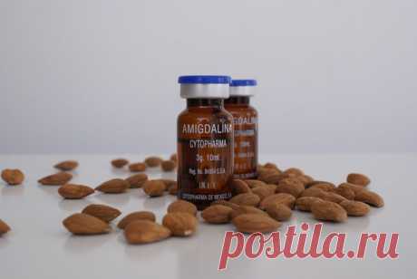 Профилактика рака — &quot;неизвестный&quot; известный витамин В17