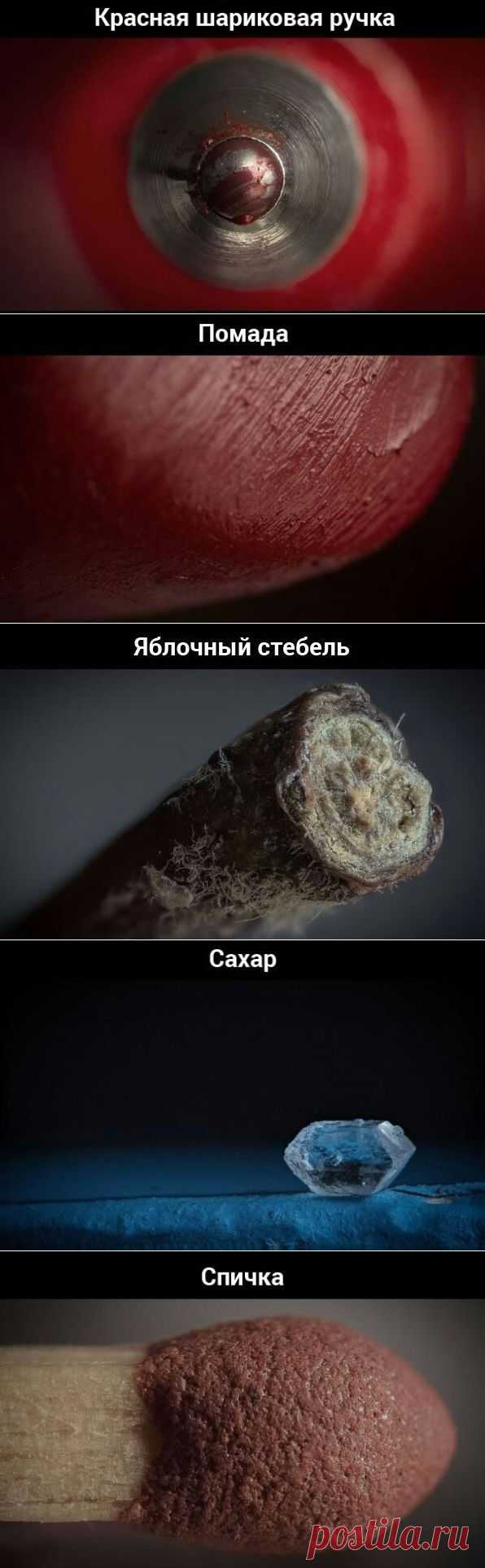 Предметы из повседневной жизни под большим увеличением