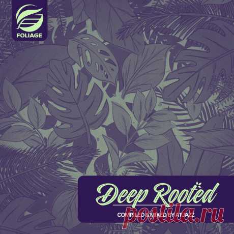 VA - Deep Rooted - Compiled & Mixed by Atjazz FNDC009 » MinimalFreaks.co