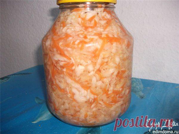 Похрустим капусткой? 5 классных рецептов на любой вкус! | ЖЕНСКИЙ МИР