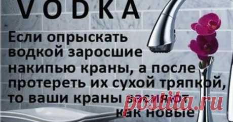 25 вариантов нестандартного использования водки — Сияние Жизни