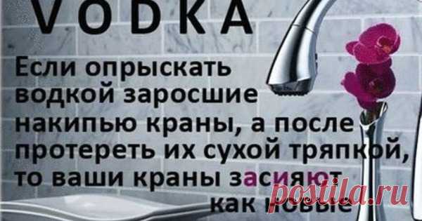 25 вариантов нестандартного использования водки — Сияние Жизни