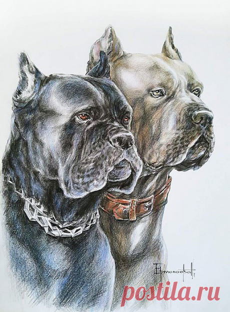 Лента ~ Наталья Ермолаева / Фриц | Артклуб Gallerix