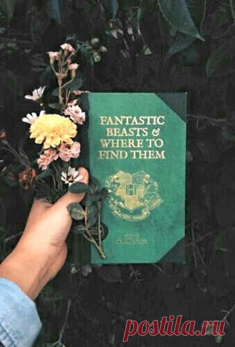 Закончив день, забудьте о нём. Все, что вы могли — вы сделали.
Уолдо Эмерсон
#цитаты #прожизнь #мудрыемысли #настроение #вдохновение #цитатадня #философия #психология