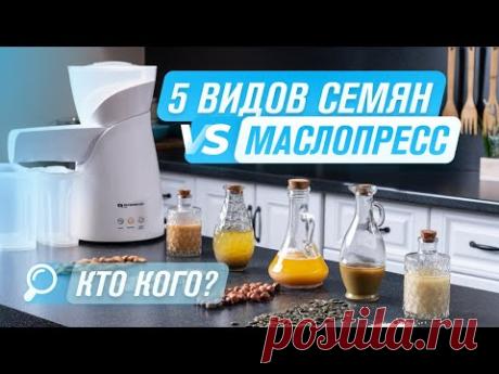 Растительное МАСЛО из 5 СЕМЯН в домашних условиях | Для чего нужно масло холодного отжима?