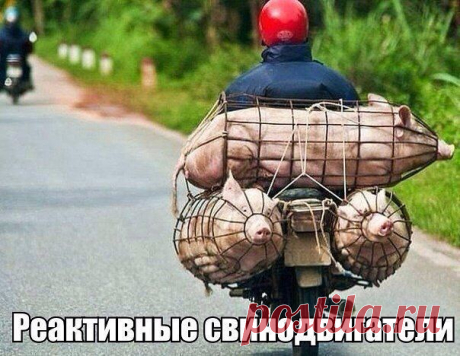 Такое возможно только в России!