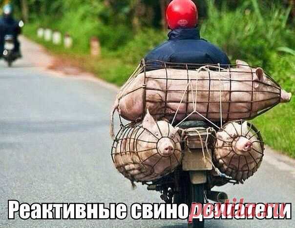 Такое возможно только в России!