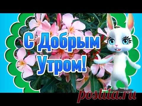 Красивые Пожелания Доброго Утра! Доброе Утро Хорошего Дня! Доброго Утра и Хорошего Настроения - YouTube