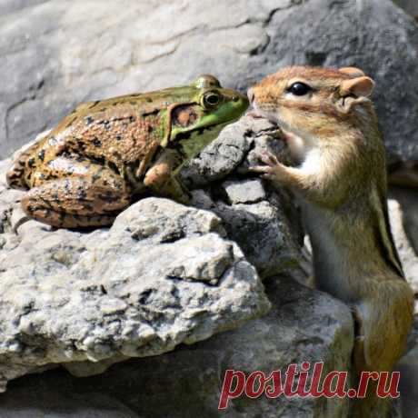 (1) Мир прекрасен
