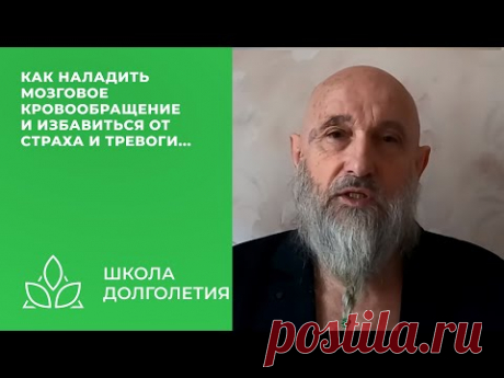 Как наладить мозговое кровоснабжение, снять стресс...