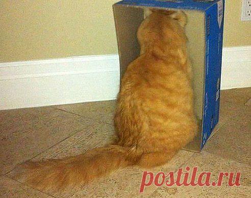 Кулинария,Рецепты!