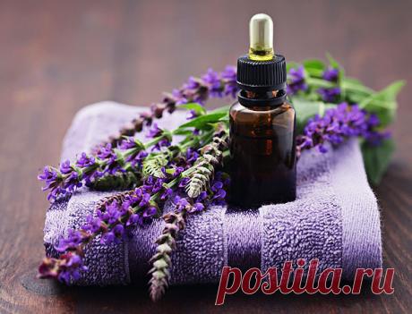 Самые эффективные народные средства от гормонального сбоя | экономъ | Яндекс Дзен