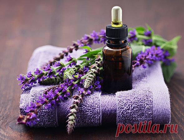 Самые эффективные народные средства от гормонального сбоя | экономъ | Яндекс Дзен