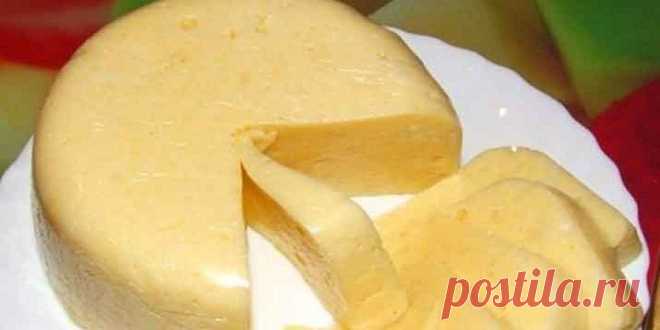 Cașcaval de casă în doar 3 ore! Un produs 100% natural! - Bucatarul.tv Ce știm despre cașcavalul de pe rafturile market-urilor? Oare este el 100% natural? Cașcavalul este un produs lactat cu o concentrație foarte mare de calciu, atât de necesar organismului uman. Și există oare vreun copil căruia să nu-i placă cașcavalul? Dar micuții trebuie hrăniți neapărat cu ceva sănătos, de casă! Bucătarul.tv vă propune în continuare așa …