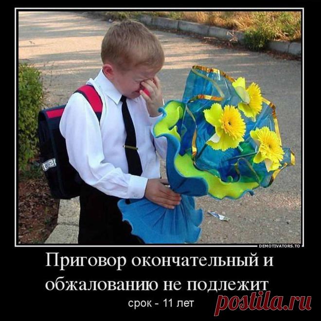 Предлагаю вам, дорогие читатели, подборку понравившихся мне демотиваторов и короткое вступление к ним.