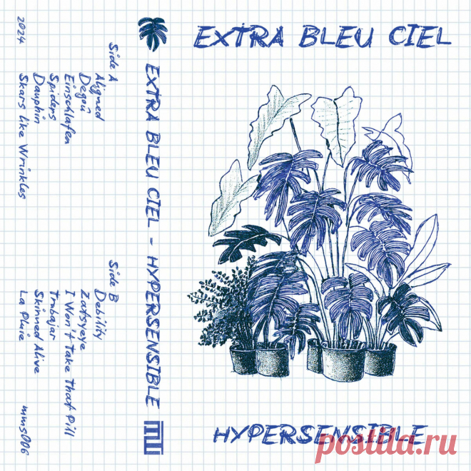 Extra Bleu Ciel - Hypersensible (2025) 320kbps / FLAC