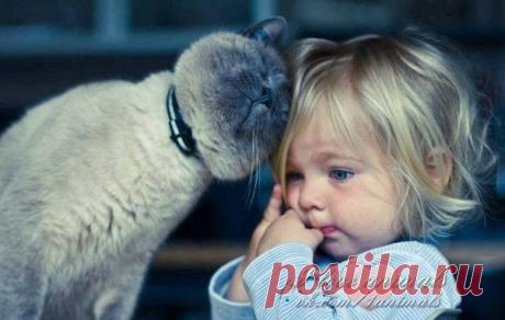 Фото Будьте Добрее, когда это возможно. А это возможно Всегда. Далай Лама. Альбом Фото группы - 6034 фото. Фотографии Улыбка до ушей.