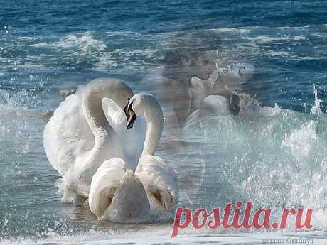 Плейкаст «Два крыла»