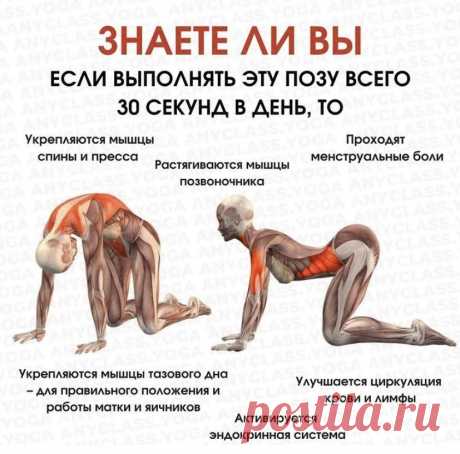 Поза йоги