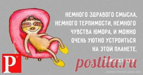 Лара Солодова