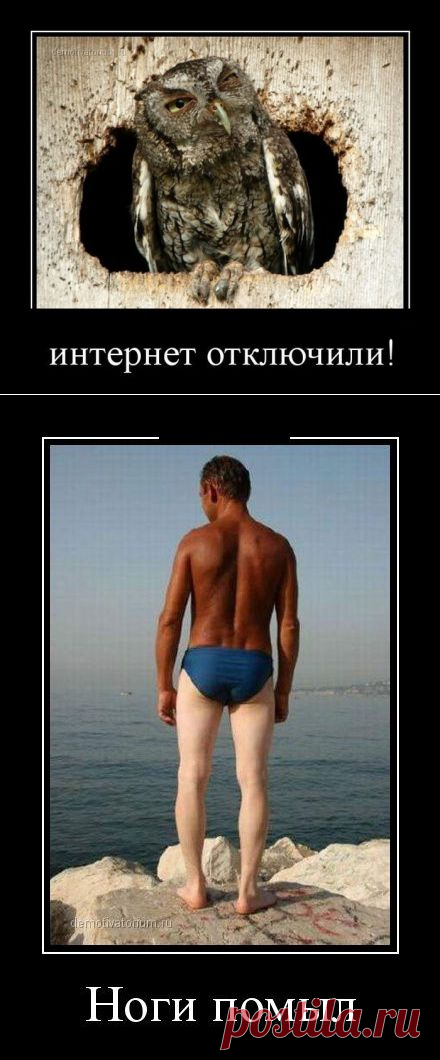 Демотиваторы дня