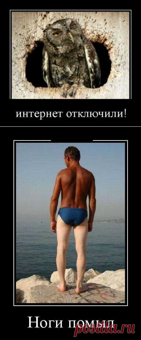 Демотиваторы дня