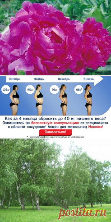 (30) Одноклассники
