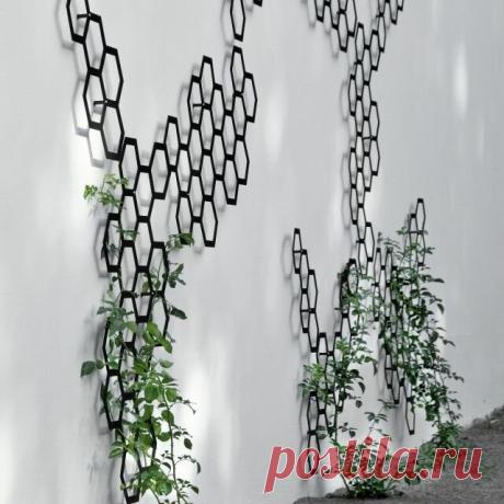 Вертикальное озеленение: 11 шикарных примеров роскошных клумб | Твой стильный дом | Яндекс Дзен