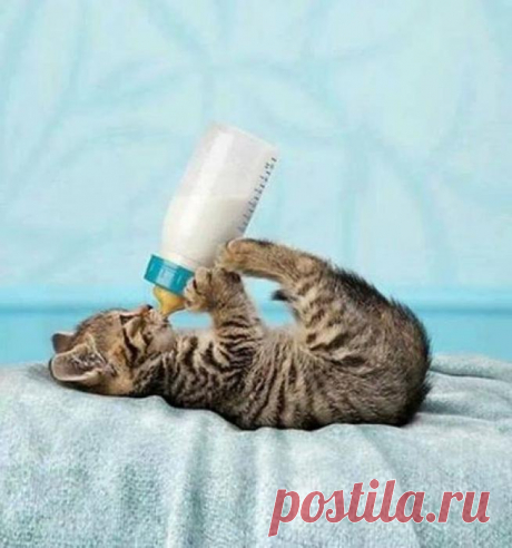 Время кушать