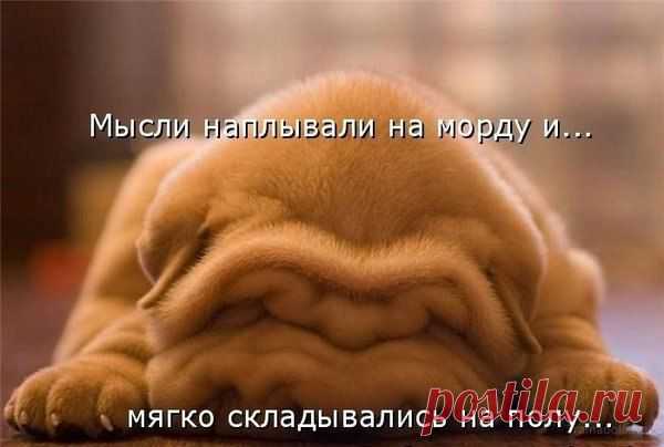 Интересные новости