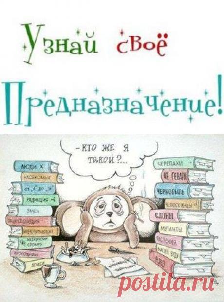 Как узнать свое предназначение в жизни