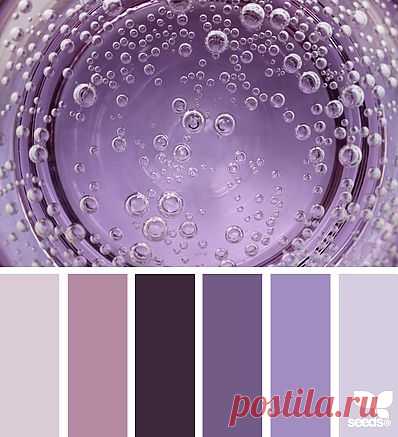 Design Seeds® | find your palette