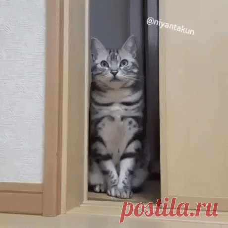 Когда хозяйка сказала без стука не входить.