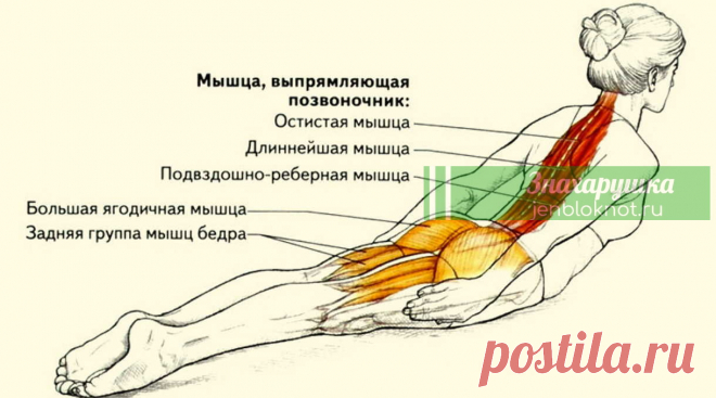 Тибетская утренняя гормональная гимнастика творит чудеса Эта система поддерживает все гормональные железы тела на уровне возраста 25-30 лет. Благодаря этому у практикующих гормональную гимнастику уходят хронические заболевания, нормализуется энергетика тела, замедляется старение организма, продолжительность жизни увеличивается на 20-30 лет.