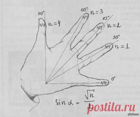 Тригонометрия на пальцах. / Surfingbird - мы делаем интернет лучше