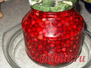 Брусника в сиропе. Рецепт c фото, мы подскажем, как приготовить!