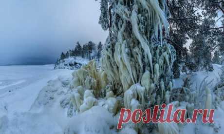 Берег Ладожского озера после ледяного дождя. Автор фото: Фёдор Лашков.