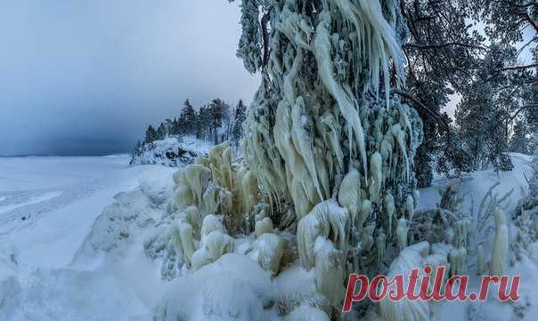 Берег Лажожского озера после ледяного дождя. Автор фото: Фёдор Лашков.